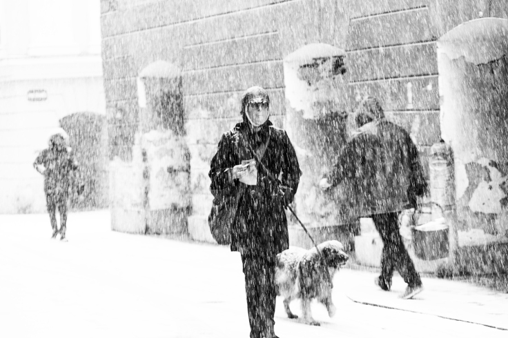 mckinniss_jim_walking in the snow #18